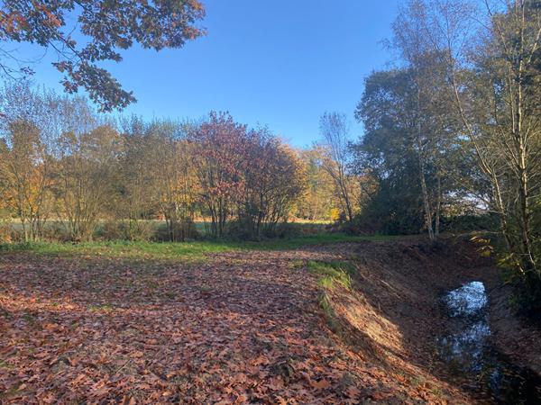 A VENDRE ! maison en pierre à 10min de DINAN de 182 m² avec un magnifique jardin de 3 267m²