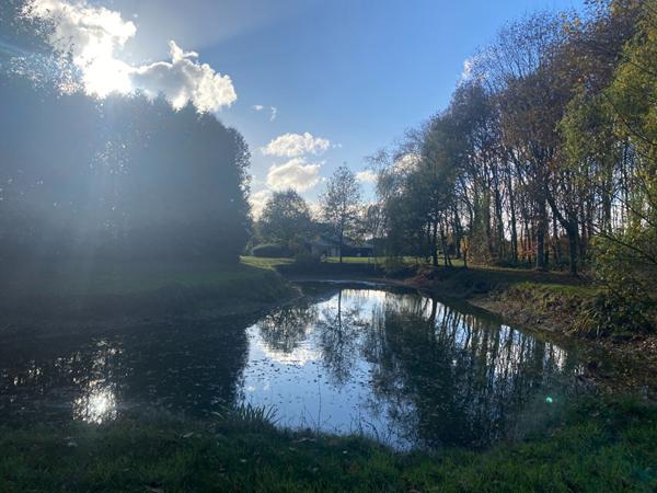 A VENDRE ! maison en pierre à 10min de DINAN de 182 m² avec un magnifique jardin de 3 267m²