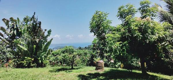 Vente Maison à Le Robert