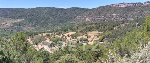 Bergerie rénovée avec vue spectaculaire