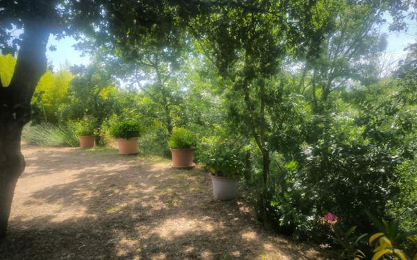 Maison à vendre    6 pièces •  Cépie