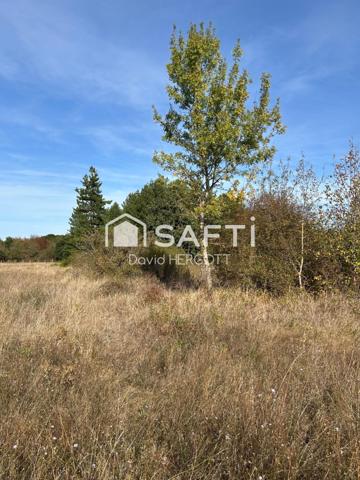 Terrain agricole / de loisir de 4 322 m² – Lailly-en-Val