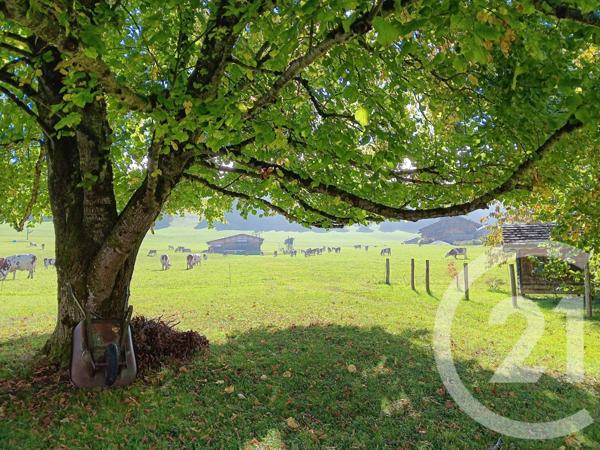 Maison à vendre  7 pièces - 145 m2 JOUGNE - 25