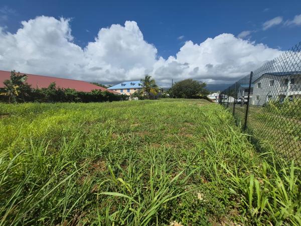 Terrain constructible plat de 1 092 m² – Goyave, aux portes de Petit-Bourg