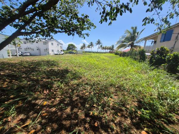 Terrain constructible plat de 1 092 m² – Goyave, aux portes de Petit-Bourg