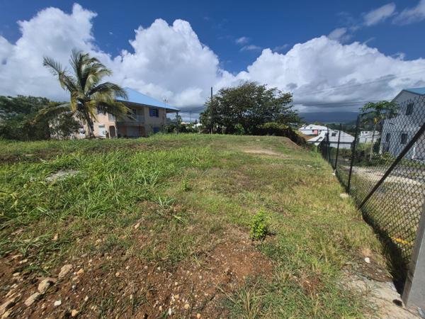 Terrain constructible plat de 1 092 m² – Goyave, aux portes de Petit-Bourg