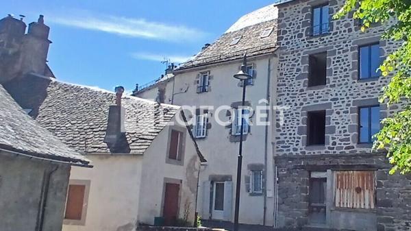 Achat immeuble Pierrefort - 6 pièce(s) - 113 m² - 66 000 €