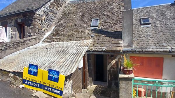 Achat immeuble Pierrefort - 6 pièce(s) - 113 m² - 66 000 €