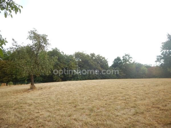 Terrain à vendre de 2 950,00 m² CHAMPCEVINEL (24)