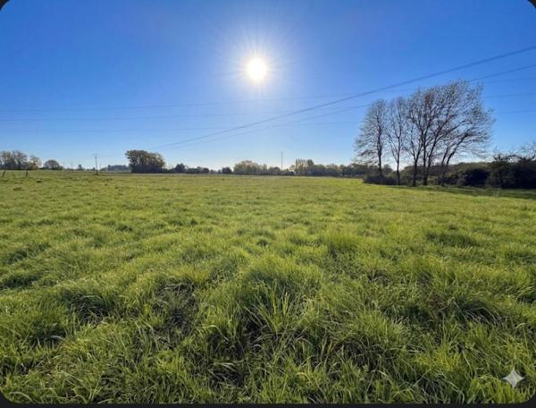 LONGERE Verrieres En Anjou 7 pièce(s) 185 m2