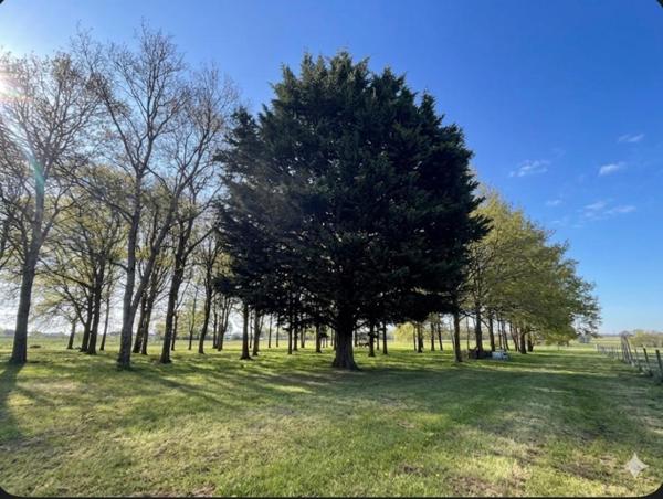 LONGERE Verrieres En Anjou 7 pièce(s) 185 m2