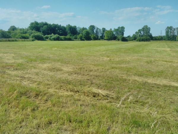 Ferme rénovée implantée sur plus de 4 hectares