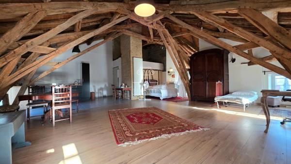 Condom (32100) Magnifique propriété 12 pièces, 7 chambres et un appartement de 100m² - secteur Eauze