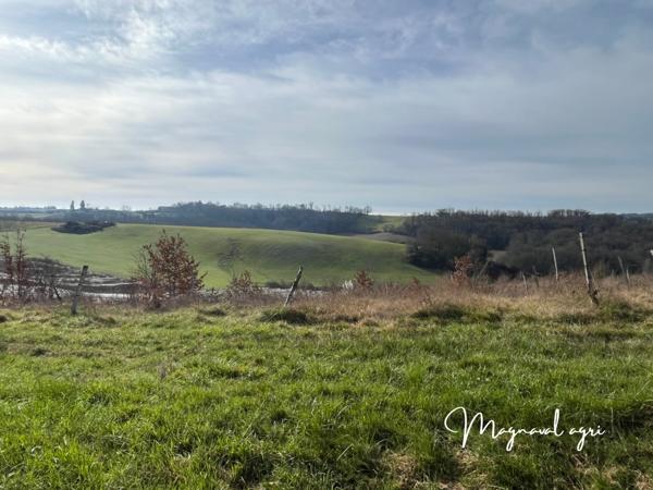 Moissac (82200) Vente pour investisseur 69 HA de terres agricoles biologiques polyculture-arboriculture Moissac 82