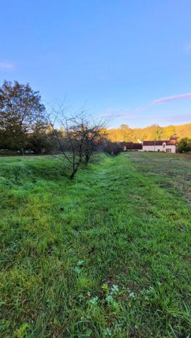 Terrain constructible + caves: Proche Loches