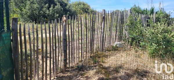 Terrain à vendre 1 248 m² Saint-Georges-d'Oléron