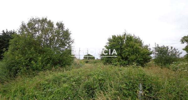 À vendre Terrain 3337 m² - Mont-dol 35120
