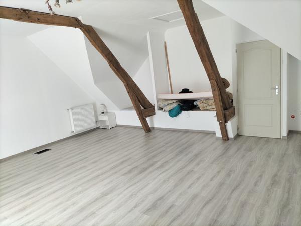 Janzé (35150) Grande maison en pierres de 300 m² avec terrain, hangar – Parfaite pour une grande famille ou un projet multi-