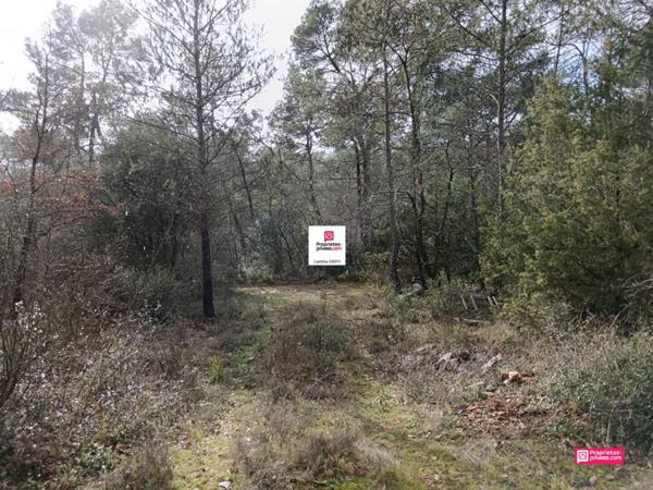 EXCLUSIVITE A vendre terrain de 5514 m2 dans le Var