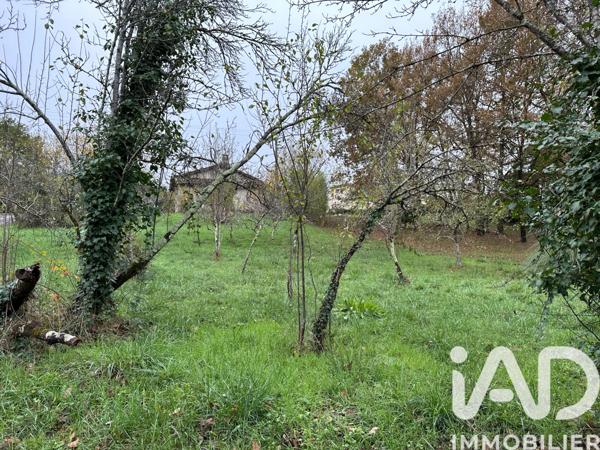 Terrain à vendre 1 361 m² Montauban