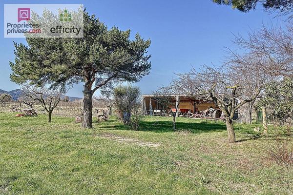 Viager mixte maison occupée et maisonnette libre