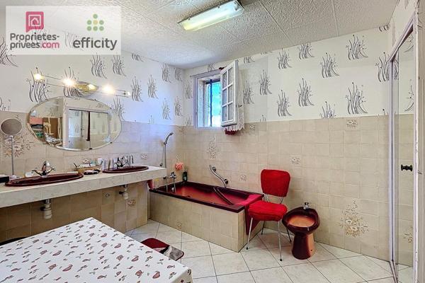 Viager mixte maison occupée et maisonnette libre