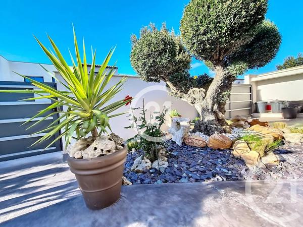 Maison à vendre  6 pièces - 135 m 2   LATOUR BAS ELNE  - 66
