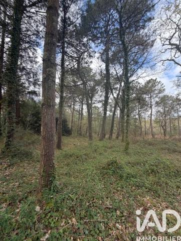 Terrain à vendre 43 500 m² Plouhinec