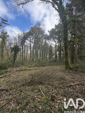 Terrain à vendre 43 500 m² Plouhinec