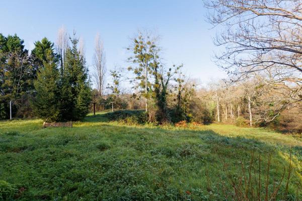 Maison de campagne sur 1 hectare - Orthez