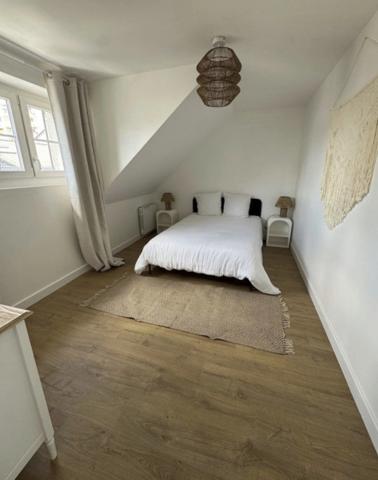 Appartement T3 de charme au cœur du triangle d’Or d’Angers