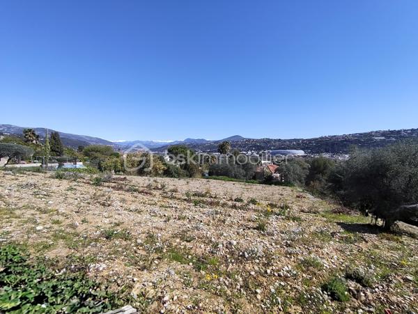 Terrain de 2 384,99 m²