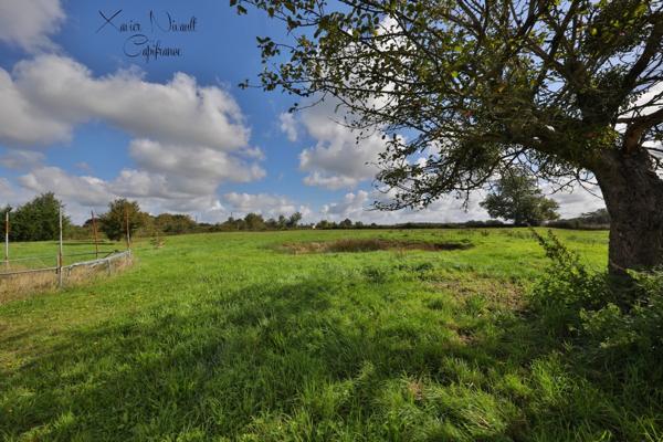 Maison à vendre 8 pièces proche de MANTENAY MONTLIN (01)