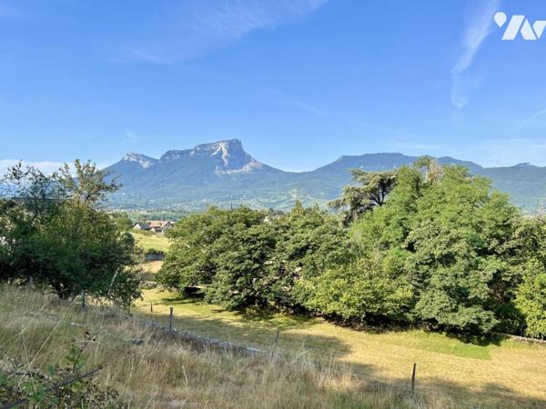 ST-JEOIRE-PRIEURÉ – PROPRIÉTÉ DE CARACTÈRE DU XIXᵉ SIÈCLE – PLUS DE 6 HECTARES – PISCINE 