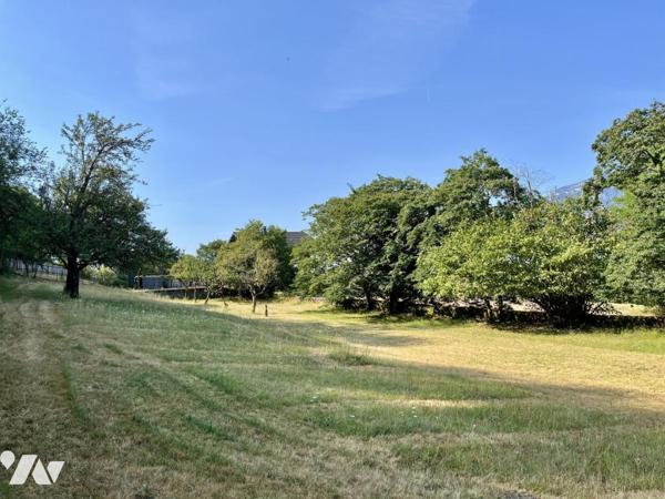 ST-JEOIRE-PRIEURÉ – PROPRIÉTÉ DE CARACTÈRE DU XIXᵉ SIÈCLE – PLUS DE 6 HECTARES – PISCINE 