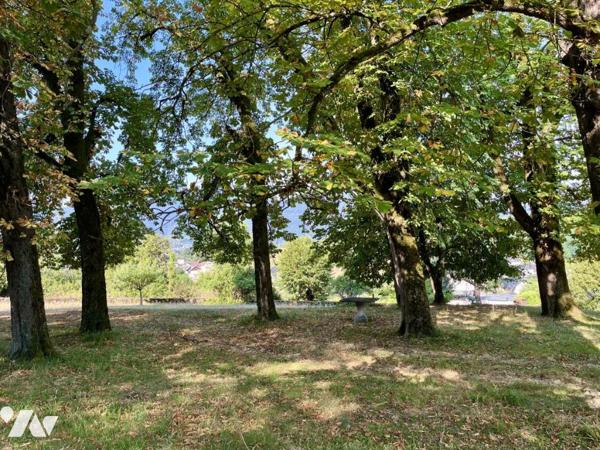 ST-JEOIRE-PRIEURÉ – PROPRIÉTÉ DE CARACTÈRE DU XIXᵉ SIÈCLE – PLUS DE 6 HECTARES – PISCINE 