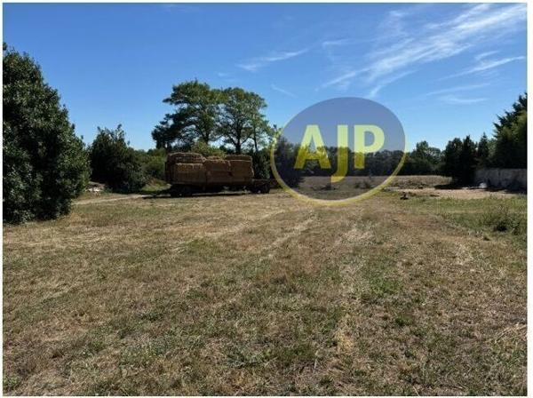 Vente terrain Chatelaillon Plage : 262 500 € - AJP Immobilier Rochefort
