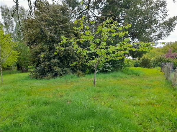 Maison à vendre |  Cognac-la-Forêt |  3 pièces | 58 m²