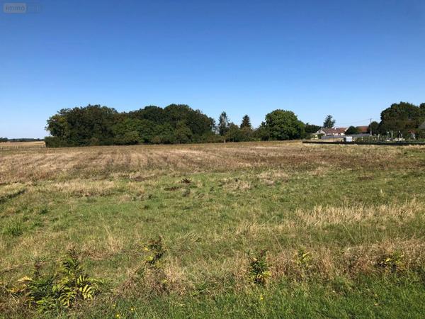 Achat - Terrain à bâtir | Terrain à bâtir Montierchaume 36130 1347 m 2