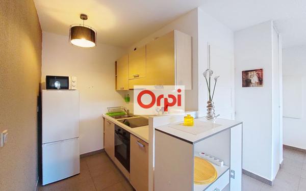 Appartement à louer    1 pièce •  Porto-Vecchio