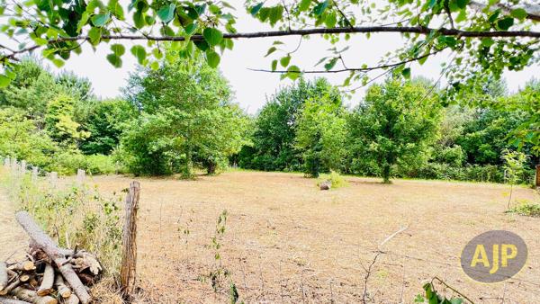 Vente terrain Lege Cap Ferret : 280 000 € - AJP Immobilier Lège-Cap-Ferret