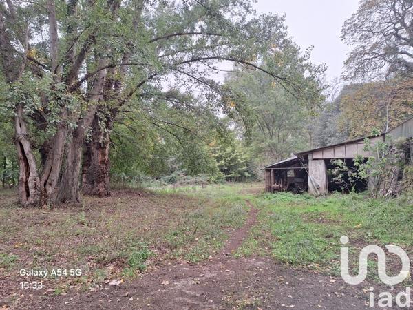 Maison à vendre 8 pièces 164 m² Amélie-les-Bains-Palalda