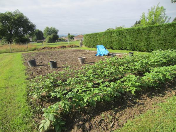 Saint-Gaudens (31800) Belle maison dans un quartier résidentiel.