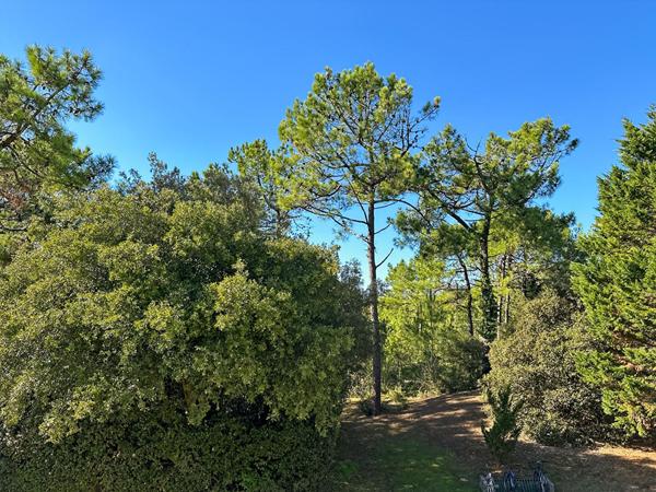 Appartement rénové - au coeur de la forêt