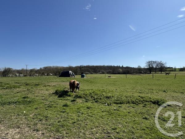 Maison à vendre  7 pièces - 178 m2 ARGENTAN - 61