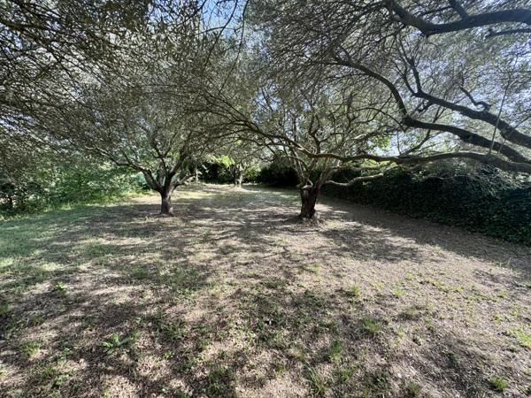 Maison de campagne à rénover Sainte-Cécile-les-Vignes (84290)