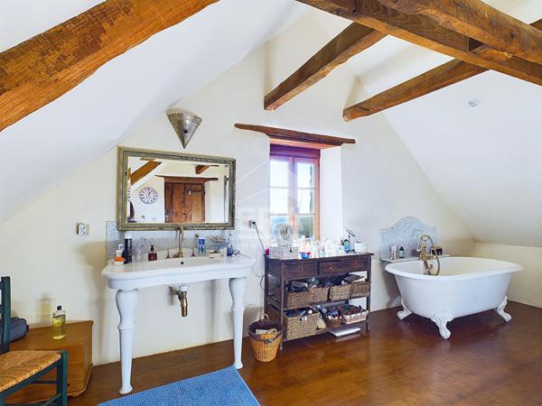 Mas La Salvetat Peyrales 6 pièce(s) 400 m2