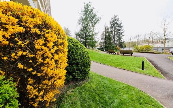 Appartement à vendre    1 pièce • 15,50 m2 Reims