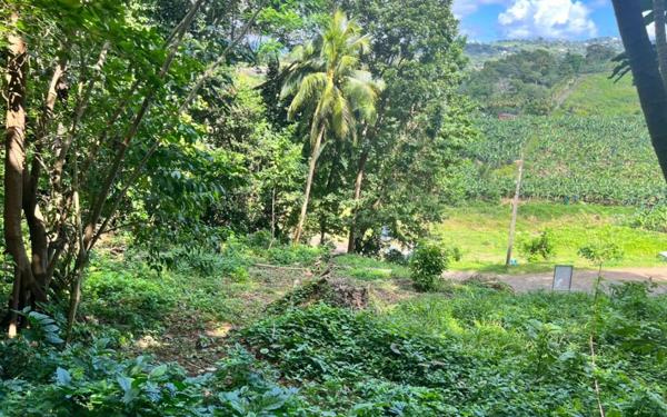 Terrain à vendre    Le Lamentin