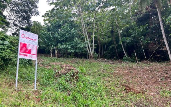 Terrain à vendre    Le Lamentin